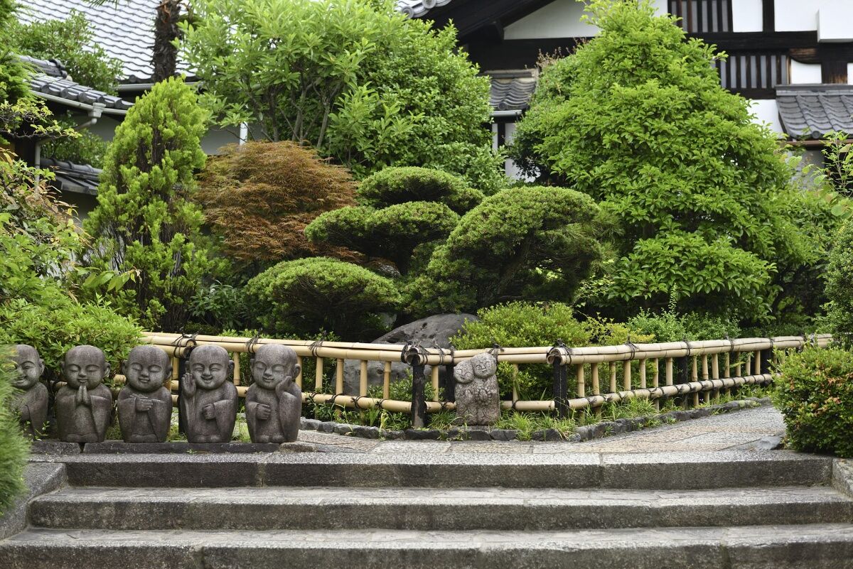 剪定